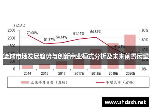 篮球市场发展趋势与创新商业模式分析及未来前景展望